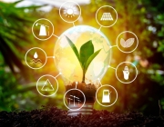 Top 10 Phương Pháp Tiết Kiệm Điện Hiệu Quả Nhất Cho Gia Đình