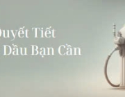 Top 10 Bí Quyết Tiết Kiệm Xăng Dầu Bạn Cần Biết