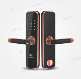 Khóa vân tay Kassler KL-668 App Red Bronze