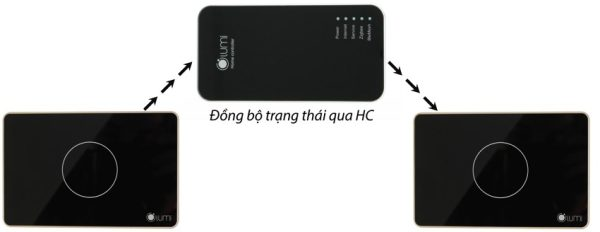 Nhóm thường